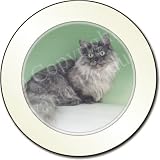  : MUNCHKIN CAT Fridge Magenet