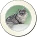 Kitchen & Housewares : MUNCHKIN CAT Fridge Magenet