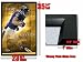 FRAMED TODD HEAP BALTIMORE RAVENS NFL POSTER FR 3603