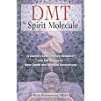 DMT: The Spirit Molecule: A Doctor's Revolutionary Research into the Biology of Near-Death and Mystical Experiences