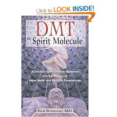 DMT: The Spirit Molecule: A Doctor's Revolutionary Research into the Biology of Near-Death and Mystical Experiences