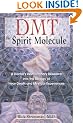 Dmt Spirit Molecule