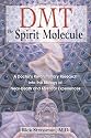 DMT: The Spirit Molecule: A Doctor's Revolutionary Research into the Biology of Near-Death and Mystical Experiences