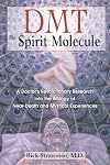 DMT: The Spirit Molecule