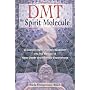 DMT: The Spirit Molecule: A Doctor's Revolutionary&hellip by Rick Strassman