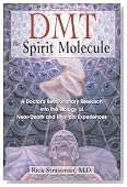 DMT: The Spirit Molecule: A Doctor's Revolutionary Research into the Biology of Near-Death and Mystical Experiences