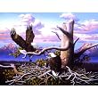 Raising Freedom 500pc Jigsaw Puzzle by R. W. Hedge