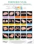 North American Meat Processors Spanish Veal Notebook Charts - Set of 5 / Guas del Cuaderno de Ternera en Espaol para la Asociacin Norteamericana de Procesadores de Carne - Juego de 5 (Spanish Edition)