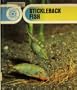 Stickleback Fish (Nature Close-Ups Series)