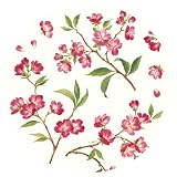 Caspari Set of Two Cherry Blossums Paper Salad Plate packages, 8 plates per package