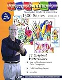 Terry Madden's Wonderful World of Watercolor 1300 Series: Volume 1