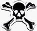 Black & White Skull & Crossbones 2