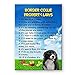 Border Collie Property Laws Fridge Magnet No 1