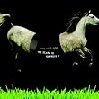 NEW Scars To Proveit (DVD)
