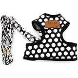 SMALLLEE_LUCKY_STORE New Soft Mesh Nylon Vest Pet Cat Small Medium Dog Harness Dog Leash Set Leads Black S