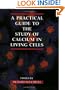 A Practical Guide to the Study of Calcium in Living Cells, Volume 40 (Methods in Cell Biology, V. 40)
