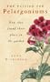 The Passion for Pelargoniums: How They Found Their Place in the Garden