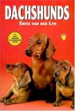 Dachshunds