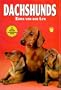 Dachshunds