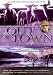 Out Of Town - Vol. 4 [DVD]