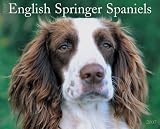 English Springer Spaniels 2007 Calendar (Just)