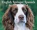 English Springer Spaniels 2007 Calendar (Just)