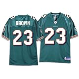 Miami Dolphins Ronnie Brown Replica NFL Equipment Youth Team Color Jersey