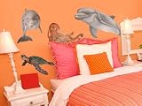 Turtle Octopus and Dolphin Friends Dry Rub Transfer Kit