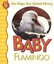 Baby Flamingo (San Diego Zoo Animal Library)