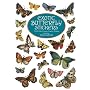 Exotic Butterfly Stickers