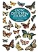 Search : Exotic Butterfly Stickers