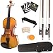 Mendini 4/4 MV400 Ebony Fitted Solid Wood Violin with Hard Case, Shoulder Rest, Bow, Rosin, Extra Bridge and Strings - Full Size