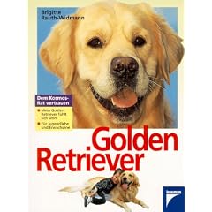 Golden Retriever.