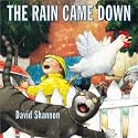 The Rain Came Down