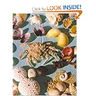 A Book of Shells : A Shell Game by Cecile Mactaggart