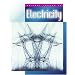 Electricity (Science Around Us (Child's World (Firm)).)