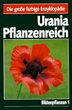 Produkt-Bild: Urania Pflanzenreich, Bl&uuml;tenpflanzen: Bd. 3