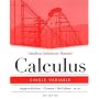 Calculus: Student Solutions Manual