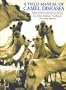A Field Manual of Camel Diseases: Traditional and Modern Healthcare for the Dromedary