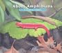 About Amphibians: A Guide for Children