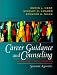Career Guidance and Counseling Through the Lifespan: Systematic Approaches