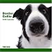 Border Collie 2009 Wall 12''x12'' Calendar by THE DOG Artlist Collection