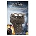 Harry Potter Quidditch Accessory Kit