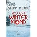 Projekt Wintermond: Thriller