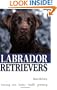 Labrador Retrievers