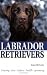 Labrador Retrievers
