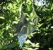 garden mirror chain - diamond shape - made of stainless steel - supplied as set of 3 - great for indoor use too! Image