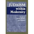Judaism Within Modernity: Essays on Jewish History and Religion by Michael A. Meyer