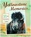 Book Yellowstone Memories: 30 Years of Stories and Photos