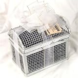 Ultimate's Silver Treasure Chest - 16 Oz of Almond English Toffee